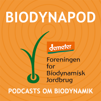 Podcast: Michelinkokken og den biodynamiske gartner samarbejder om råvarernes kvalitet